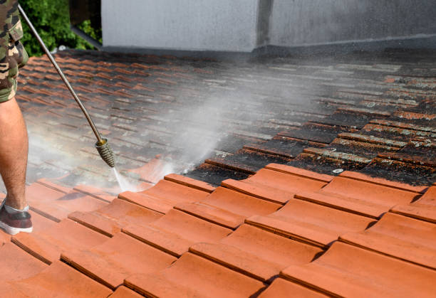 Best Sidewalk Pressure Washing  in Brownsboro, TX